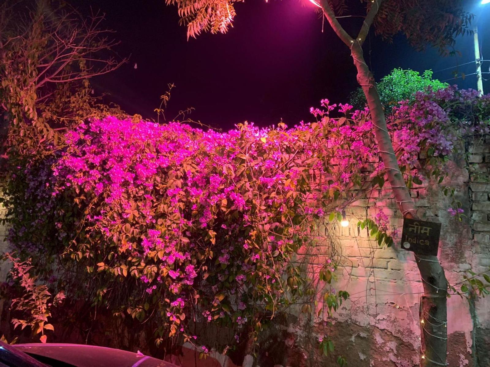 Nature Resort Agra  Exterior foto